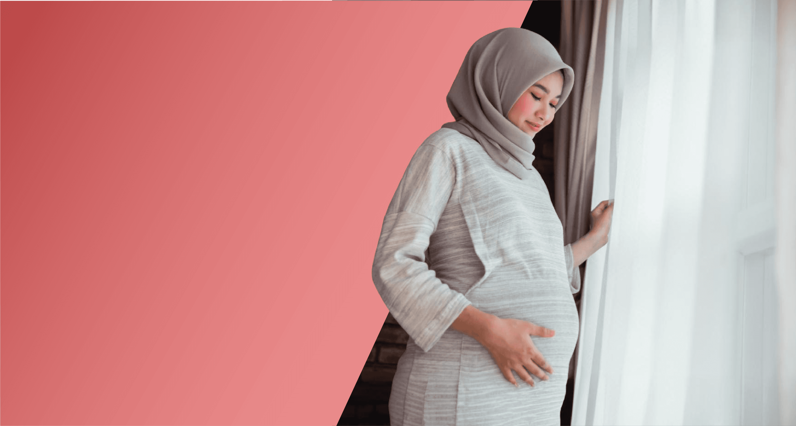 Header Persona Ibu Hamil