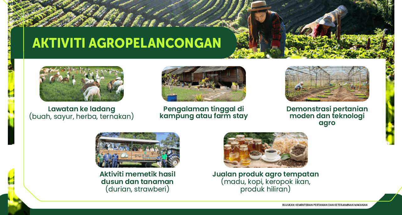 Infografik Agropelancongan