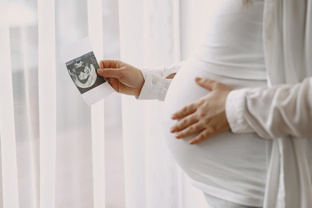 Pregnancy Phase